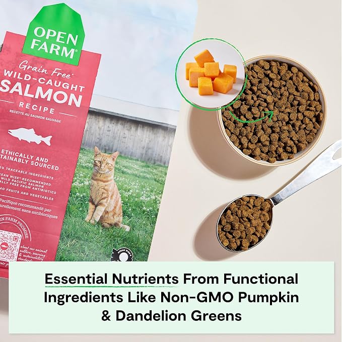 Open Farm Grain Free Dry Cat Food, Wild-Caught Salmon Kibble, 4lb Bag | All Life Stages, High Protein, Prebiotic Fibers, 100% Traceable Ingredients, Non-GMO Fruits & Veggies.