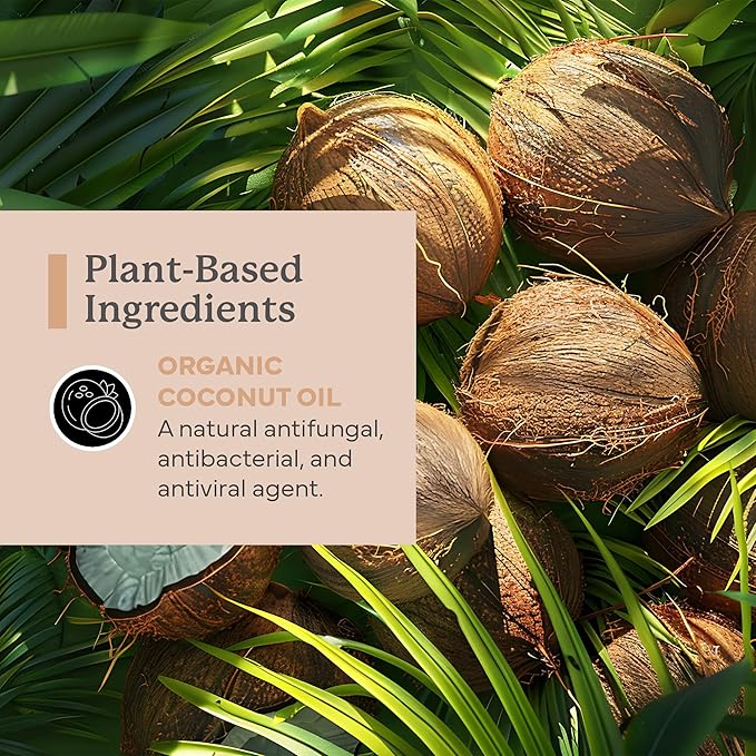 PurO3 Ozonated Coconut Oil – Pure, Natural, Organic Skincare for Face & Body – Oxygenated Healing Lotion, Moisturizer & Beauty Cream in a Glass Jar – O3 Therapy Salve, 2 oz