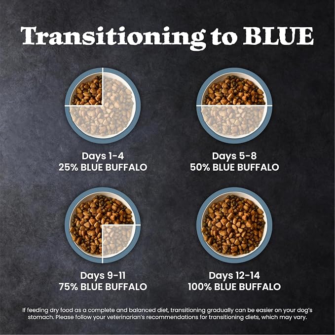 Blue Buffalo Wilderness Salmon & Wholesome Grains Adult Dry Dog Food, 13 lb | 39g Protein, Real Salmon #1 Ingredient, Antioxidant-Rich Fruits & Veggies, High Protein to Fuel Adventures