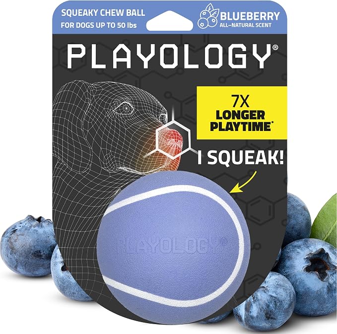 Playology Squeaky Chew Ball Dog Toy - Medium, Blueberry Scent