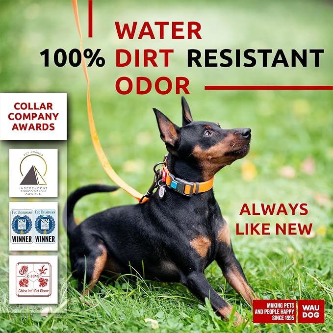 WAUDOG Waterproof Dog Collar Airtag Holder QR Tag Small Medium Large Dogs | Water and Dirt Resistant, Quick Dry QR Pet Tag Adjustable Durable Comfort for Male and Female Dogs Outdoor Walking Training