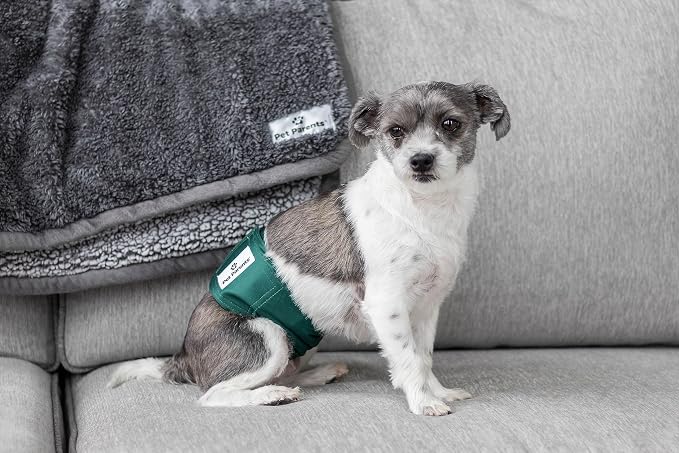 Pet Parents® Washable Belly Bands for Male Dogs (3pack) + Extendrs® of Durable Dog Diapers Male, Premium Male Dog Diapers & Dog Wraps (Medium, Spruce)