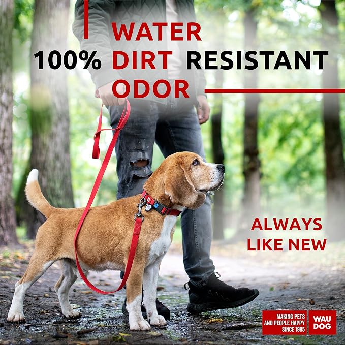 WAUDOG Waterproof Dog Collar Airtag Holder QR Tag Small Medium Large Dogs | Water and Dirt Resistant, Quick Dry QR Pet Tag Adjustable Durable Comfort for Male and Female Dogs Outdoor Walking Training