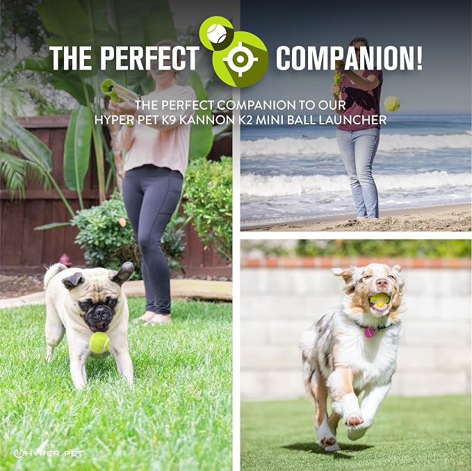 Hyper Pet Mini Tennis Balls for Small Dogs, Pack of 12, Interactive Fetch