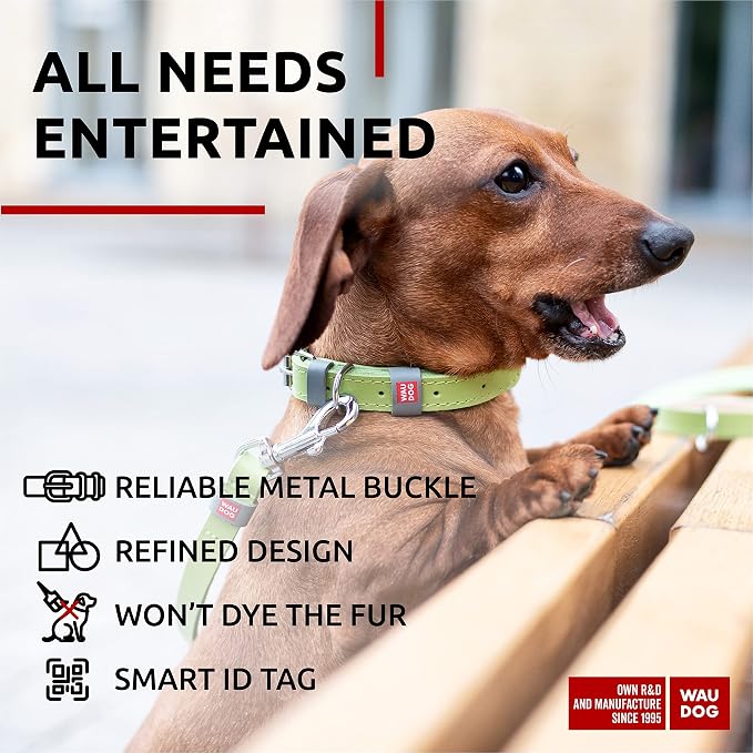 WAUDOG Genuine Leather Dog Collar Adjustable Large Medium Small QR Code Tag