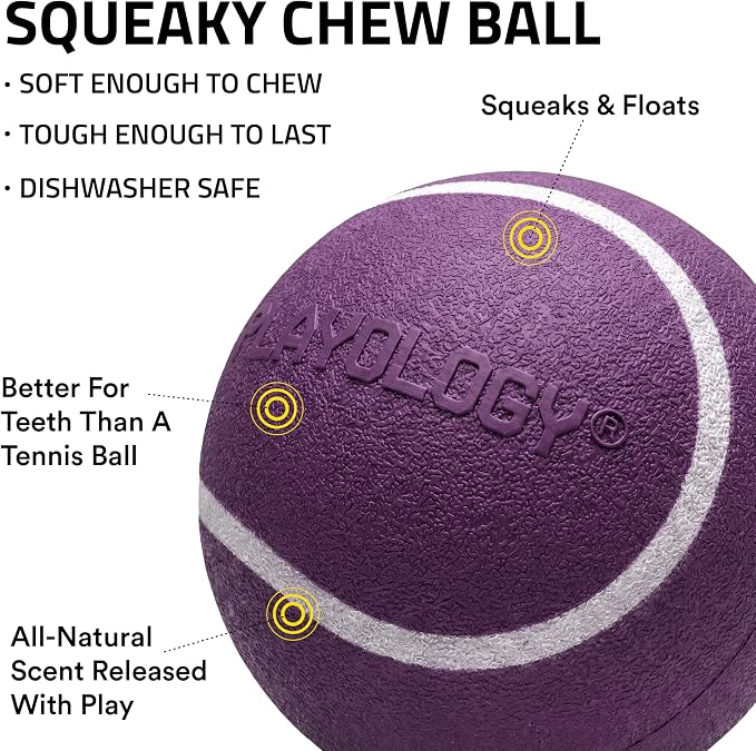Playology Squeaky Chew Ball Dog Toy - Medium, Bacon Scent, 2-Pack