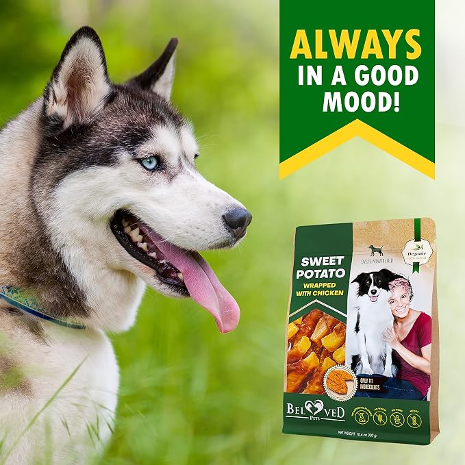 Beloved Pets Sweet Potato Dog Treats & Chicken Jerky Wraps 1.5 Pound - Dog Food & High Protein Soft Chews for Large, Medium & Small Breeds, Sweet Potato Wrapped Chicken