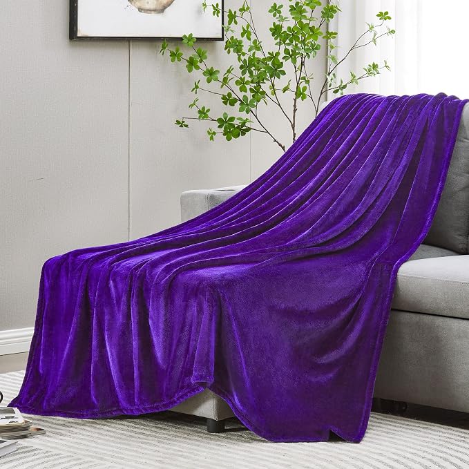 DREAMNINE Super Soft Fuzzy Fleece Throw Blanket for Couch Sofa 50" x 60",Decorative Solid Lightweight Velvet Blanket for Chair, Cozy Accent Shaggy Micro Plush Flannel Blankets for Bedroom Dorm, Purple