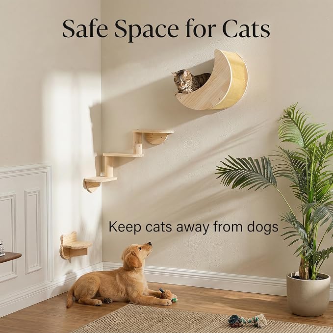 Cat Wall Shelves, Solid Wood Moon Bed, 3-Step Ladder & Perch for Climbing | 3-in-1 Wall-Mounted Cat Furniture;16-Inch Stud Wall;Hold Up to 40 lb;Wall & Corner Setup;Vertical Territory & Active Exercise