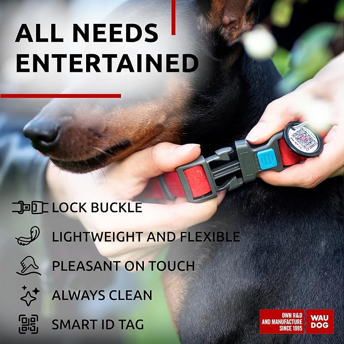 WAUDOG Waterproof Dog Collar Airtag Holder QR Tag Small Medium Large Dogs | Water and Dirt Resistant, Quick Dry QR Pet Tag Adjustable Durable Comfort for Male and Female Dogs Outdoor Walking Training