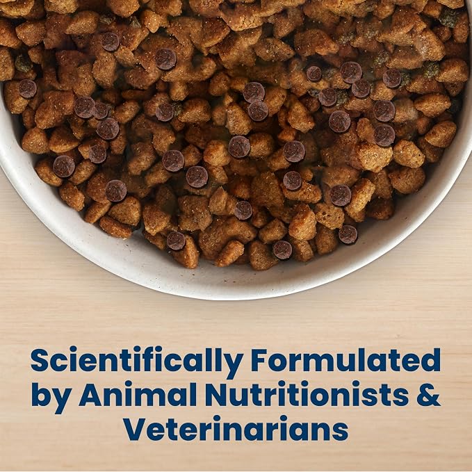 Blue Buffalo Life Protection Formula Healthy Weight Small Dog Food, 5 lb | Real Chicken #1 Ingredient, Promotes Lean Muscles & Weight Control in Small Breed Dogs, Antioxidant-Rich LifeSource Bits