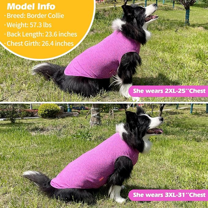 KYEESE 2Pack Dog Shirt for Medium Dogs Sun Protection Tank Top for Summer | Reflective for Safety, Lightweight & Breathable, Shedding Control, Skin-Friendly for Sensitive Dogs, Easy On/Off, Quick Dry