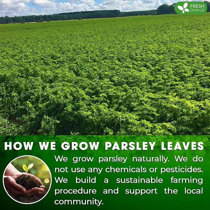 Premium 75 Parsley Leaf Tea Bags, 100% Natural & Pure from Parsley Leaves. Loose Leaf Parsley Herbal Tea. Parsley Leaf Tea. Made with Natural Material Tea Bags. No Sugar, No Caffeine, No Gluten, Vegan.