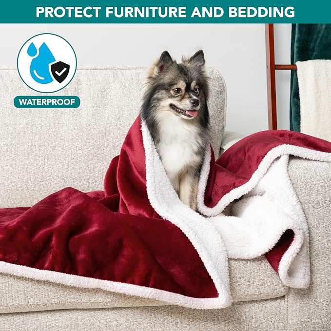 PetAmi Waterproof Dog Blanket for Small Dog Puppy Cat, 29x40, Wine Red | 460 GSM Sherpa Fleece Reversible, Pee Proof Pet Blanket, Furniture Protector Cover for Couch Sofa Kennel, Washable