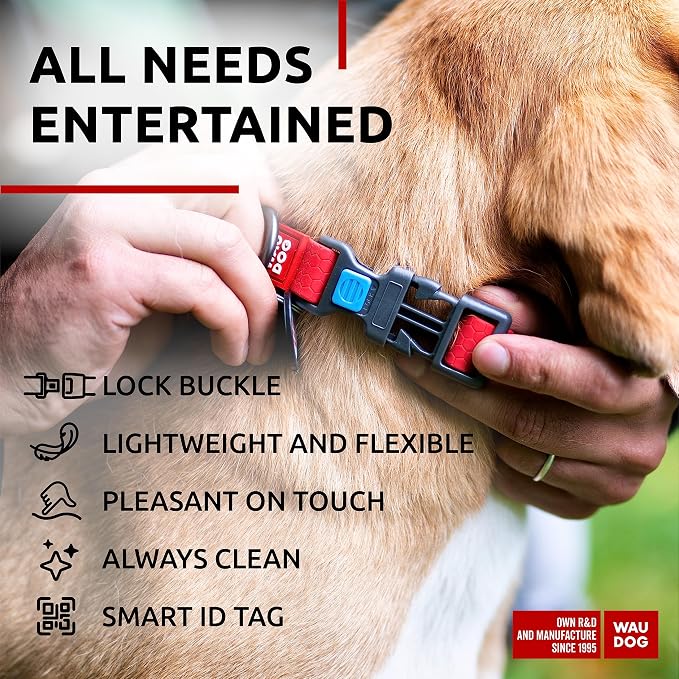 WAUDOG Waterproof Dog Collar Airtag Holder QR Tag Small Medium Large Dogs | Water and Dirt Resistant, Quick Dry QR Pet Tag Adjustable Durable Comfort for Male and Female Dogs Outdoor Walking Training