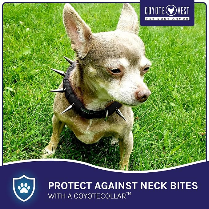 CoyoteCollar Spike Dog Collar, Adj/Replaceable Spikes, Small, Black