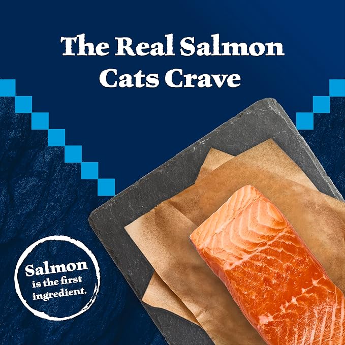Blue Buffalo Wilderness Salmon Adult 7+ Dry Cat Food, Grain-Free, 5 lb | High Protein, Real Salmon #1 Ingredient, Supports Immunity with Antioxidant-Rich LifeSource Bits, Natural Ingredients