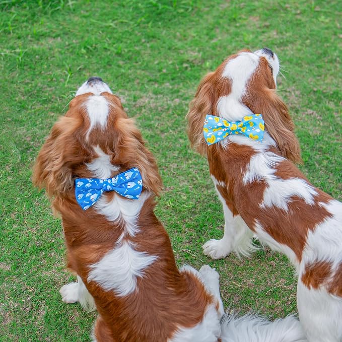 azuza Dog Collar with Bow Tie, Soft and Comfortable Adjustable Bowtie Dog Collar for Large Dogs (L, Shark)