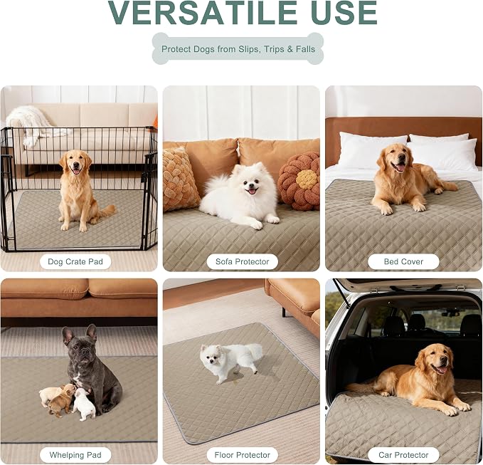Eterish Reusable Washable Pee Pads for Dogs Large/Extra Large 36'' x 41'' 2 Pack, Absorbent Pet Puppy Dog Training Pads Non-Slip, Waterproof Whelping Potty Pads for Dogs Leak-Proof