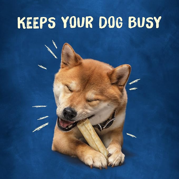 Purina Busy Rawhide Small/Medium Breed Dog Bones, Rollhide | Basted beefhide exterior with a savory middle and no artificial colors or flavors, long lasting chew that helps clean teeth