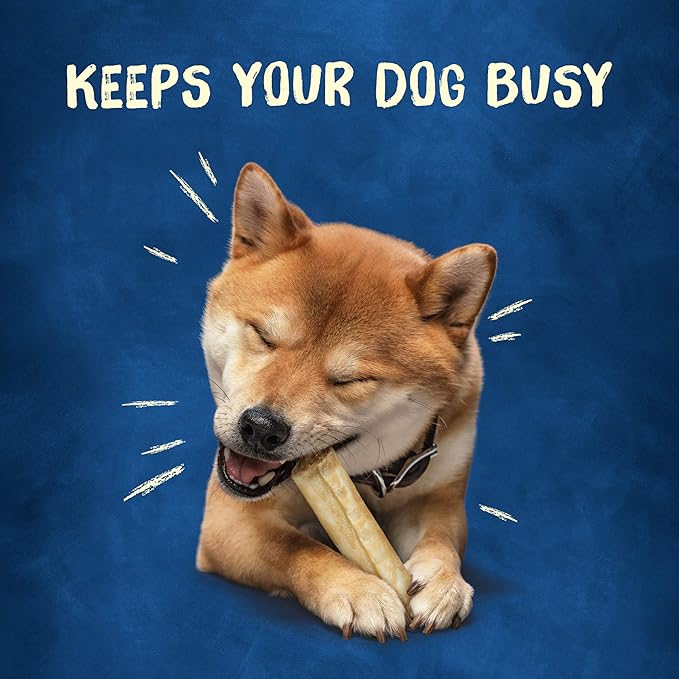 Purina Busy Rawhide Small/Medium Breed Dog Bones, Rollhide - (Pack of 12) 3 ct. Pouches | Basted beefhide exterior with a savory middle and no artificial colors or flavors, long lasting chew that helps clean teeth
