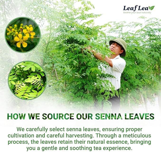 LeafLea Senna Leaf Tea Bags, Herbal Laxative Tea for Constipation, 40 Ct | Single-Ingredient Senna Leaf, Caffeine-Free, Sugar-Free, Gluten-Free, Non-GMO, Vegan, Individually Foil-Wrapped