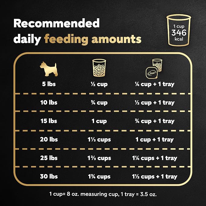 Cesar Small Breed Dry Dog Food, Filet Mignon & Spring Vegetables, 12 lb | Made in USA, Real beef #1 ingredient, 26 essential nutrients, supports small breed health, no artificial flavors
