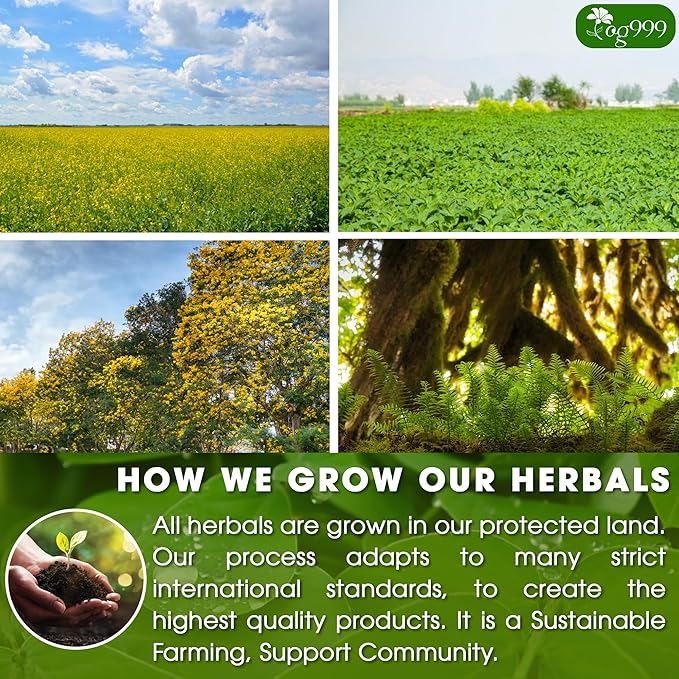 TOG999, 100 Tea Bags, Blend of Senna Leaves - Peppermint - Licorice - Fennel, 100% Natural Ingrendients, Hand-made Herbal Tea, Relieves Constipation Naturally Tea, No Sugar, No Caffeine, No Gluten, Vegan.