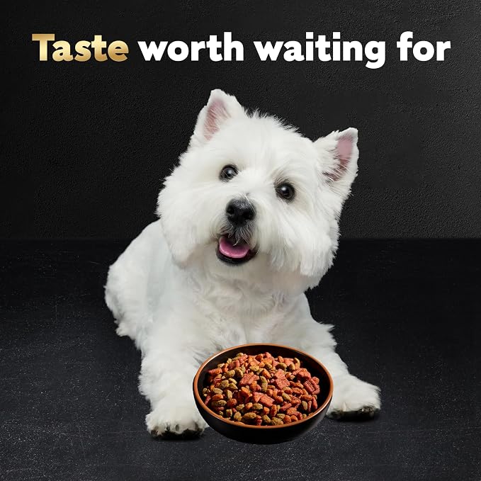 Cesar Small Breed Dry Dog Food, Filet Mignon & Spring Vegetables, 12 lb | Made in USA, Real beef #1 ingredient, 26 essential nutrients, supports small breed health, no artificial flavors