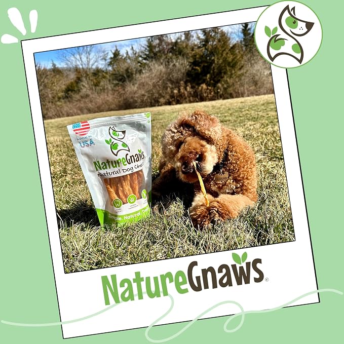 Nature Gnaws USA Turkey Tendons Dog Treats, 4 oz