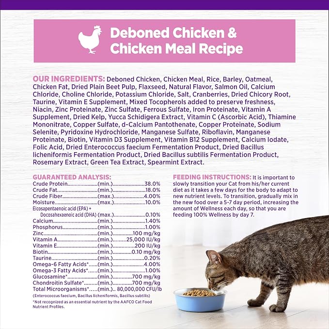 Wellness Complete Health Kitten Dry Cat Food, Natural, Wholesome Grains Kibble, Turkey, Turkey Meal and Chicken Recipe, 5 lb Bag