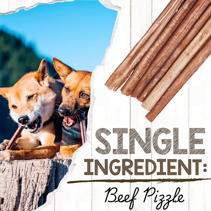 Nature Gnaws Small Bully Sticks 5-6" Rawhide Free Dog Chews, 15 Count | Long Lasting for Light Chewers and Puppies - Natural Thin Beef Dog Chew Bones - No Artificial Preservatives