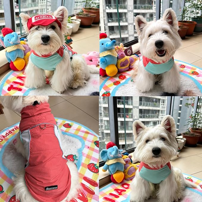Dog Sun Protection Cooling Shirt,UPF 50+ UV Protection,Lightweight Breathable Cooling Vest, Sunblock Summer Clothes for Dogs (Tomato Red, Large, Pull On)