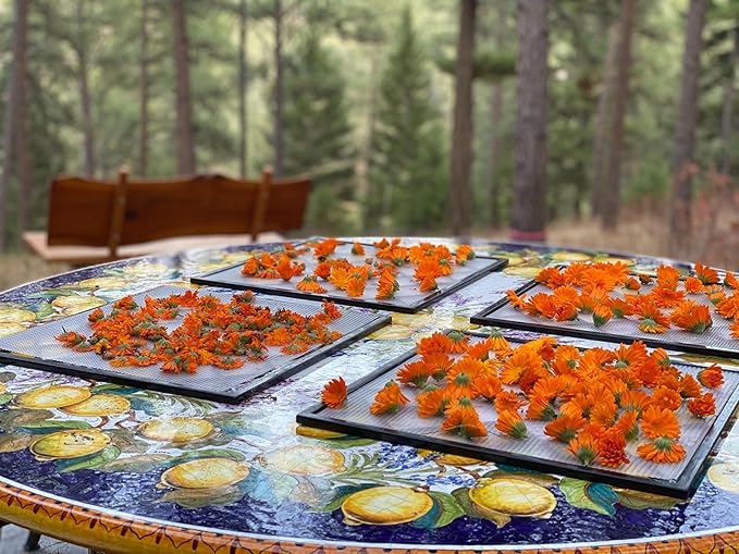 Aromatics International Calendula Hydrosol 100ml | Sweet & Light Natural Aromatic Mist for Skin, Home & Daily Use