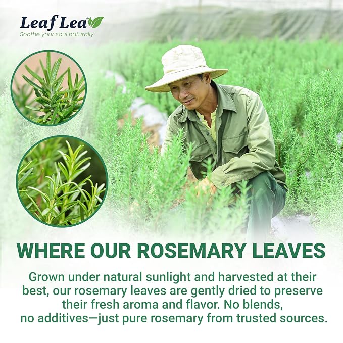 LeafLea Rosemary Tea Bags, Single-Ingredient Rosemary Leaf Tea, 80 Count | 2 Boxes to Stock Up or Share, Smooth Earthy Te De Romero, Individually Foil-Wrapped, Caffeine-Free, Vegan