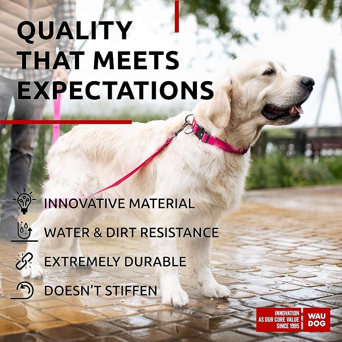 WAUDOG Waterproof Dog Collar Airtag Holder QR Tag Small Medium Large Dogs | Water and Dirt Resistant, Quick Dry QR Pet Tag Adjustable Durable Comfort for Male and Female Dogs Outdoor Walking Training