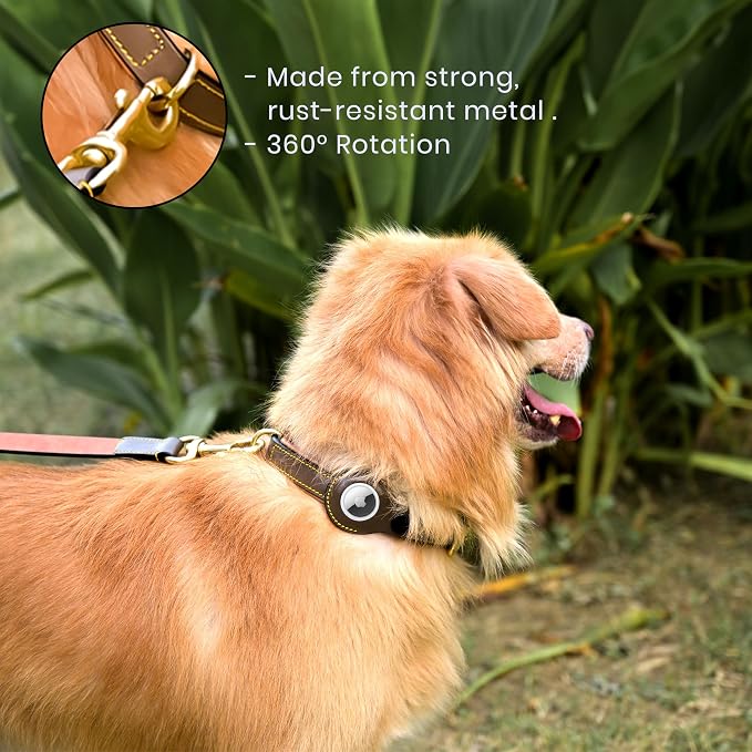Airtag Luxury Real Leather | Genuine Leather Soft Padded Dog Collar for Medium Large Dogs | Leather with Anti -Rust Hardware (Size - L) Fits Neck 18, 19, 20 & 21 inches