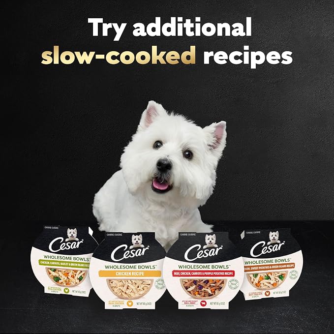 Cesar Wholesome Bowls Adult Wet Dog Food,Chicken,Recipe,Wet Food for Dogs,3 Oz. Bowls,10 Count (Pack of 2)