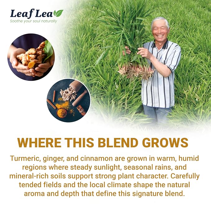LeafLea Turmeric Tea with Ginger and Cinnamon, 80 Premium Turmeric Ginger Tea Bags, 100% Natural Ingredients Herbal Tea, Vegan, No Sugar, Caffeine-Free, Each Tea Bag Sealed for Fresh Flavor
