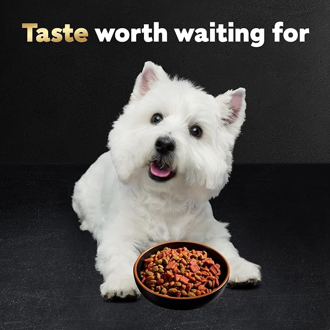 Cesar Small Breed Dry Dog Food, Filet Mignon & Spring Vegetable, 2.7 lb | Made in USA, Real beef #1 ingredient, 26 essential nutrients, supports small breed health, no artificial flavors