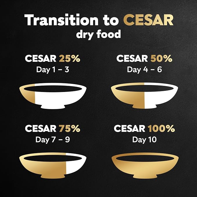 Cesar Small Breed Dry Dog Food, Filet Mignon & Spring Vegetables, 12 lb | Made in USA, Real beef #1 ingredient, 26 essential nutrients, supports small breed health, no artificial flavors