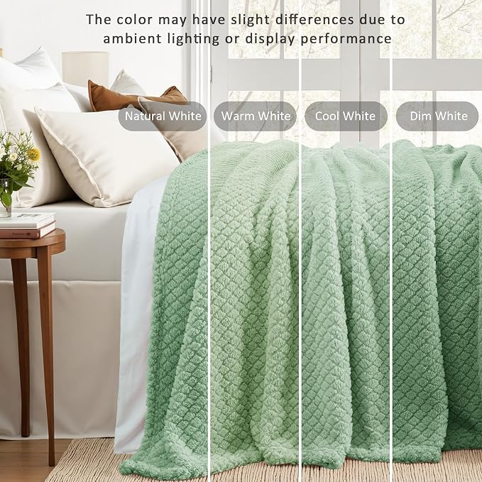 Exclusivo Mezcla Soft Fleece Queen Size Blanket for Bed, Sage Green | Jacquard Lightweight Cozy Bed Blanket, Breathable Decorative Fuzzy Textured All Season Use, 90x90 Inches