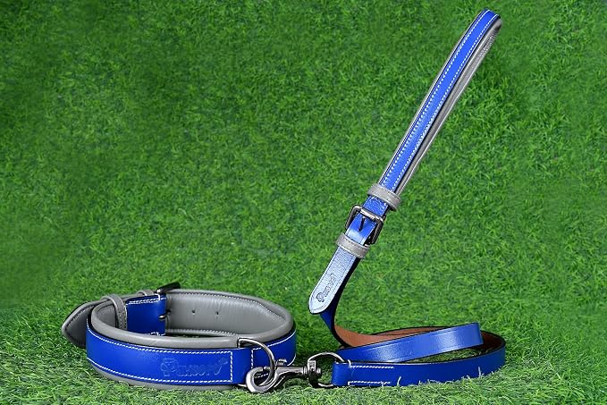 Airtag Luxury Real Leather | Genuine Leather Soft Padded Dog Collar for Medium Large Dogs | Leather with Anti -Rust Hardware (Size - L) Fits Neck 18, 19, 20 & 21 inches