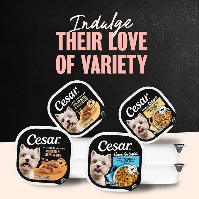 Cesar Breakfast & Dinner Variety Pack Wet Dog Food, 3.5 oz, 24 Count | Real meat #1 ingredient, no fillers, no added sugar or artificial flavors, slow-cooked, easy to digest, easy peel trays