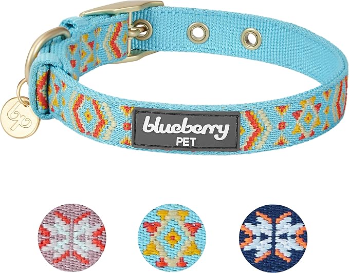 Blueberry Pet Southwestern Tribal Print Celeste Blue Adjustable Dog Collar with Metal Buckle, Neck 17-20.5", for Large Breed