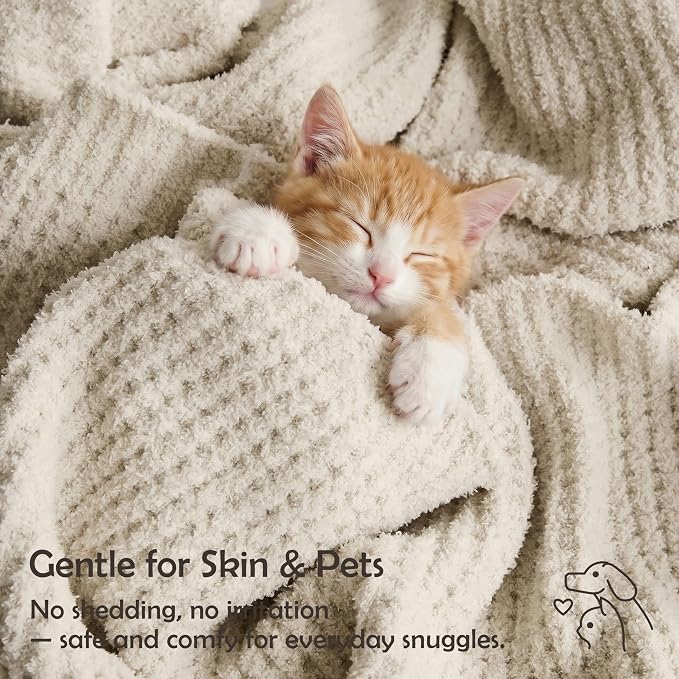 WDCOZY Ivory Waffle Throw Blanket for Couch Bed, Reversible Super Soft Plush Knitted Blanket, Lightweight Cozy Fuzzy Fluffy Warm Throw for Sofa Chair, Textured Blanket for Home Decor, Cream 60"x80"