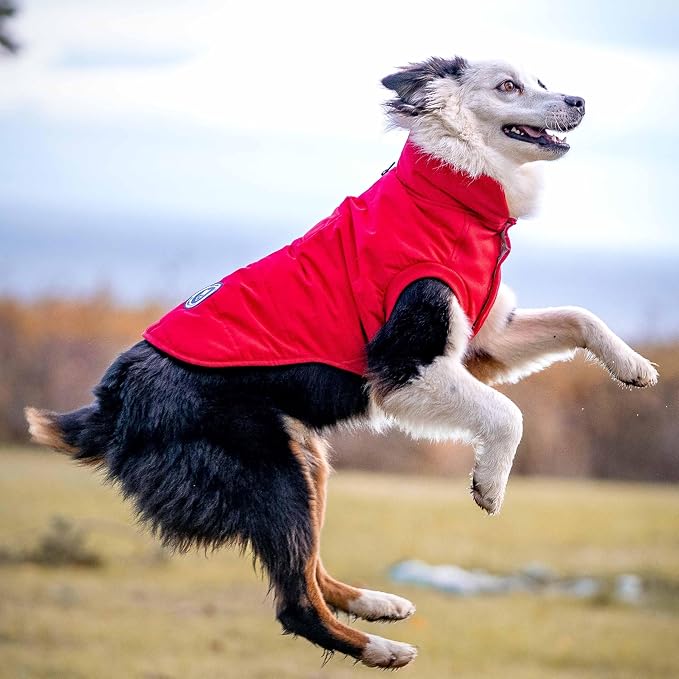 Blueberry Pet Cozy Dog Sweater-Coat – Waterproof Warm Winter Jacket for Small & Medium Dogs, True Red, Size 16, 18" Back Length