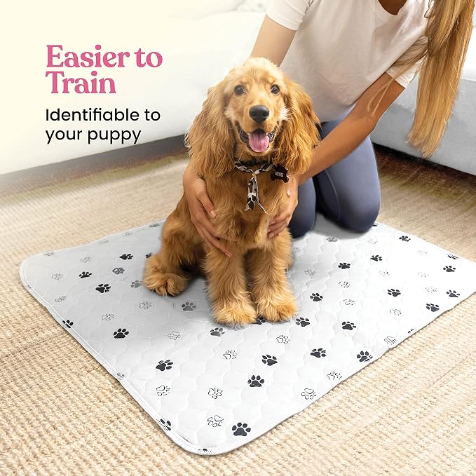 Super Absorbent Washable Pee Pads for Dogs - 2-Pack Superior Reusable Puppy Pads Pet Training Pads –100% Waterproof Dog Pee Pad Protects Against Urine Leakage Non-Slip Grip Prevents Slipping& Bunching