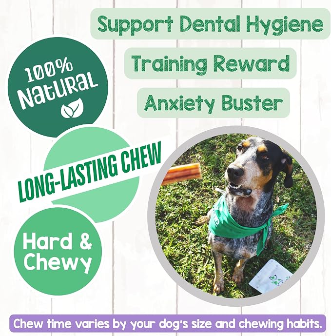 Nature Gnaws Extra Thin Bully Sticks 5-6" Rawhide Free Dog Chews, 25 Count | Long Lasting for Light Chewers and Puppies - Natural Beef Dog Chew Bones - Single Ingredient - No Artificial Preservatives