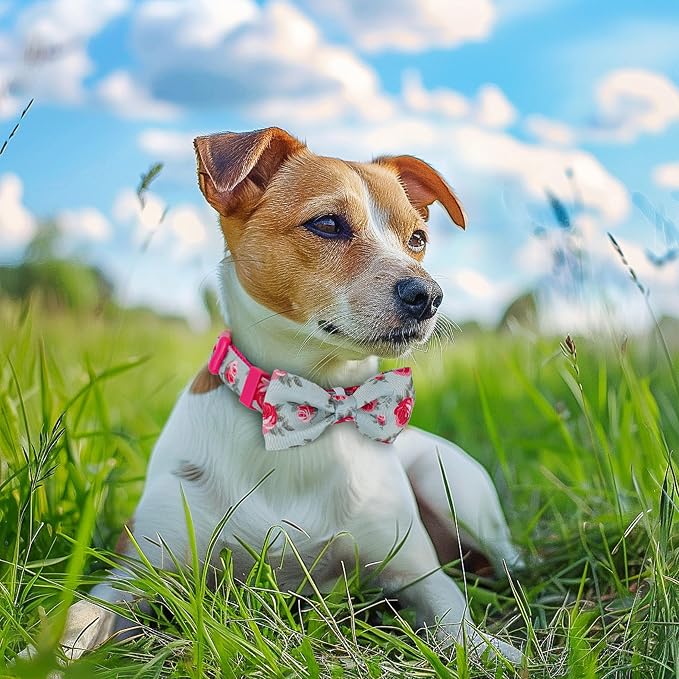 azuza Dog Collar with Bow Tie, Soft and Comfortable Adjustable Bowtie Dog Collar for Puppy and Small Dogs (XS, Camellia Flower)